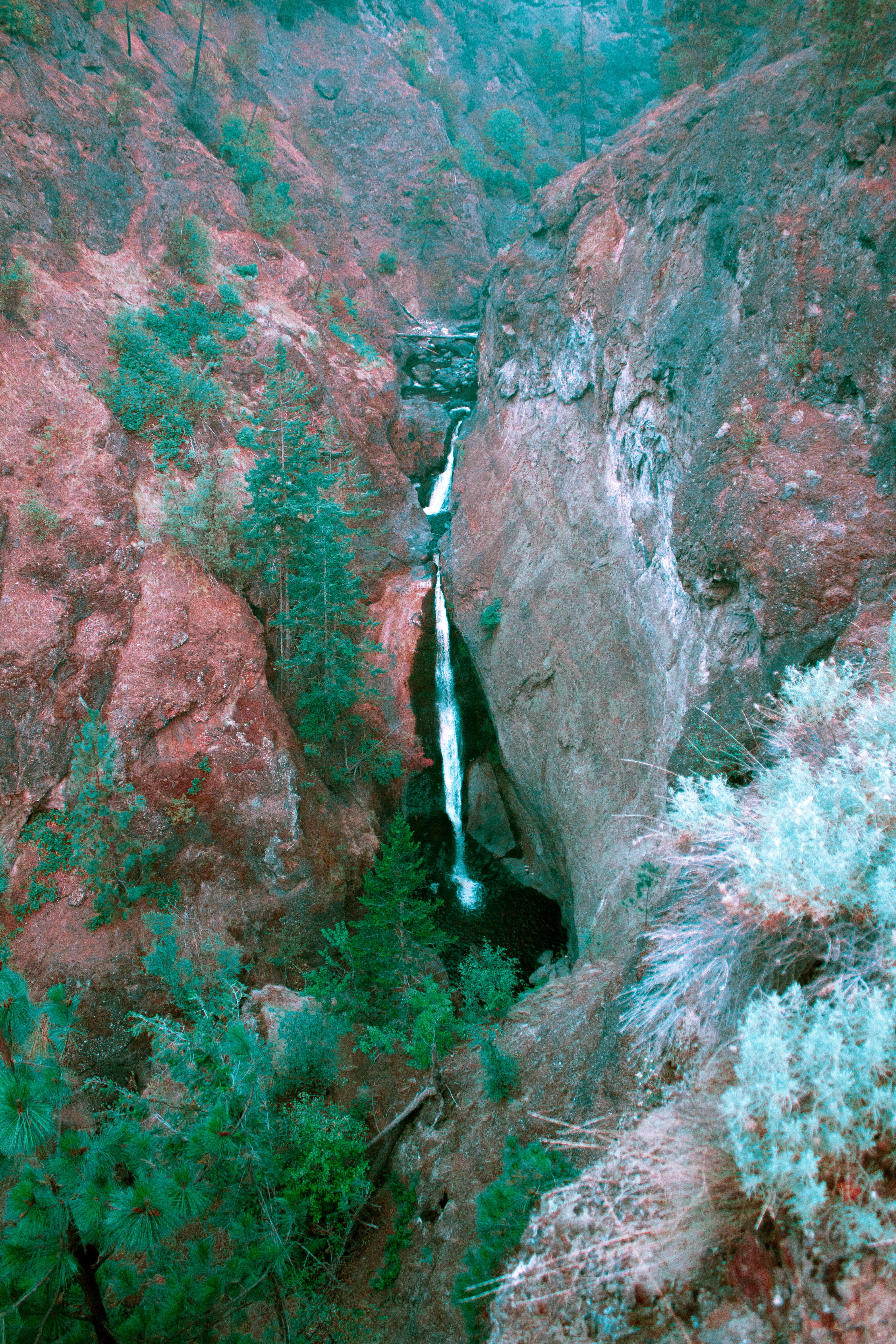 A vibrant, luch photograph of a small waterfall
