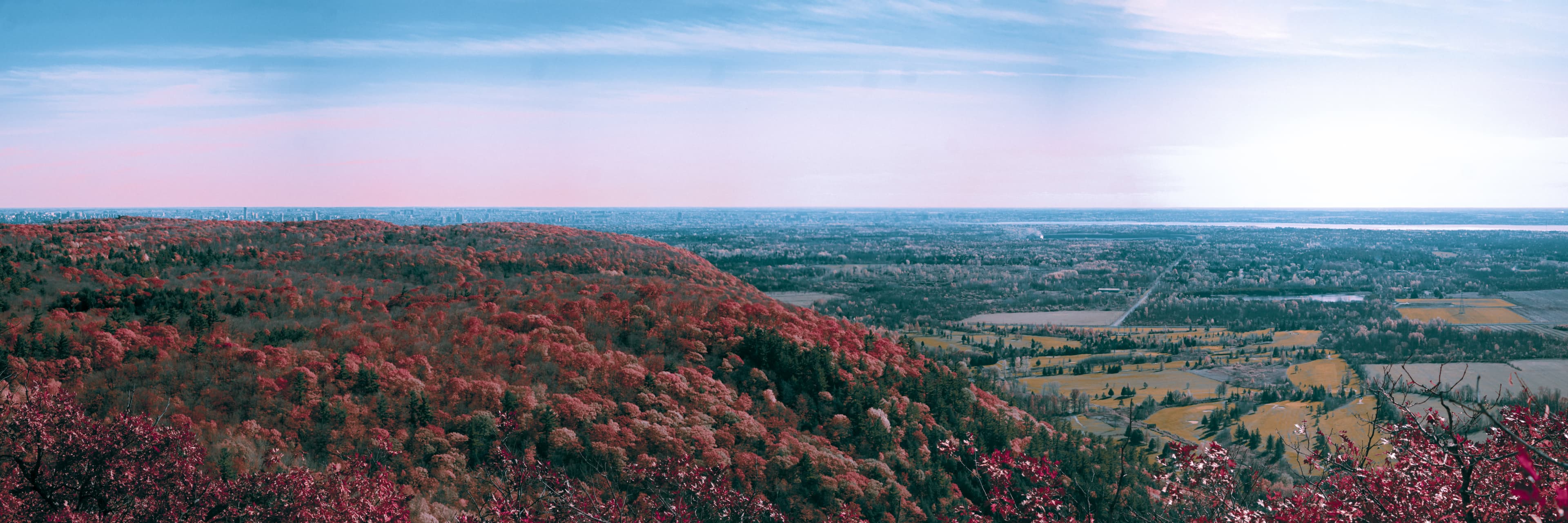 A colorful panoramic image of a treeline on top of a mountain